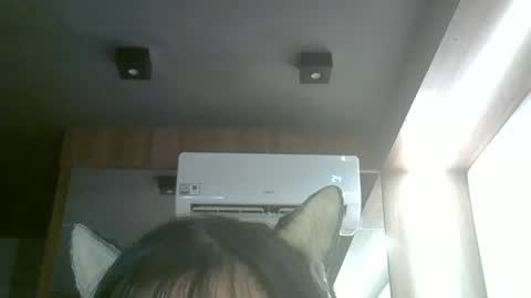 skinnykittencam online show from 04.11.26