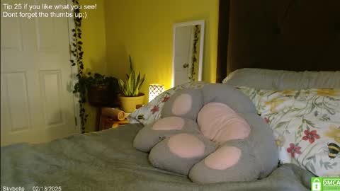 Skylar online show from 02.13.25