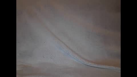 Snapshot of slava12345679 chatting on 02.04.25 Alisa online show from 02.04.25