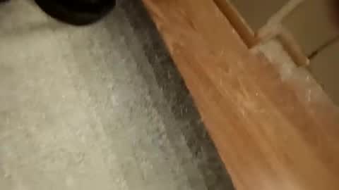 slickdog58 online show from 09.19.25