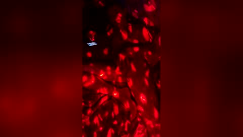 slicknick1988 online show from 05.27.26