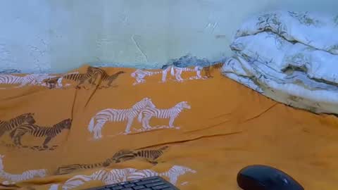 slim_girl3 online show from 11.18.25