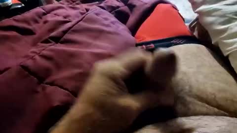 Snapshot of slitlicke69696969 chatting on 10.20.25 slitlicke69696969 online show from 10.20.25