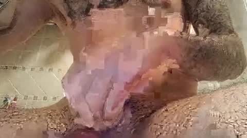 Snapshot of smallone8825 chatting on 03.10.25 smallone8825 online show from 03.10.25