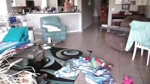 Snapshot of smallpenisbigtongue chatting on 03.27.26 Daddy online show from 03.27.26