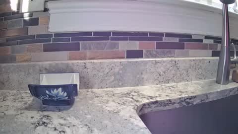 smthbtm53 online show from 03.14.26