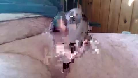 Snapshot of sn0man69 chatting on 01.06.25 sn0man69 online show from 01.06.25