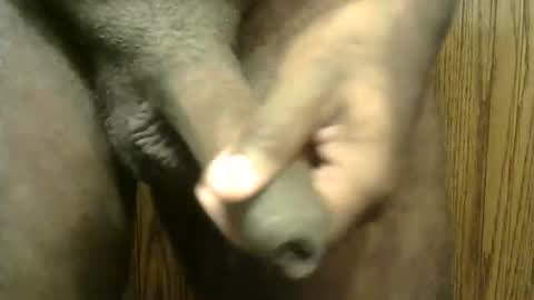 snkr1244 online show from 01.11.25