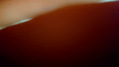 snopchat1234 online show from 02.02.26