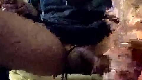 Lets play n party online show from 01.07.26