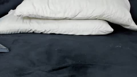 SOFIA online show from 02.14.25