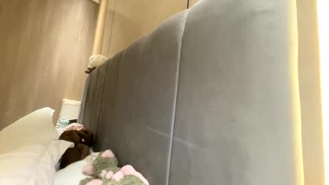 Snapshot of sofiaalvarezx chatting on 07.11.26 sofiaalvarezx online show from 07.11.26