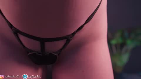 Snapshot of sofiachic chatting on 03.04.26 Sofia online show from 03.04.26