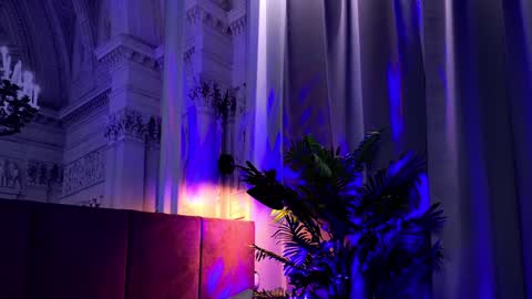 Sofia online show from 01.24.25