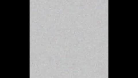 Sofia online show from 03.01.25