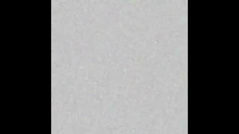 Sofia online show from 03.04.25