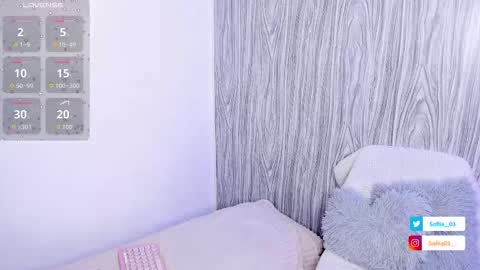 SOFIA online show from 11.13.25