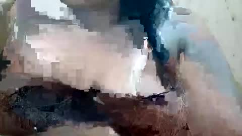 soft_bads online show from 10.09.25