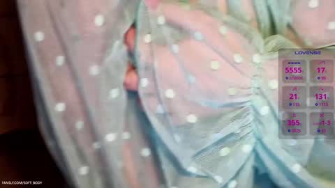 Snapshot of soft_body chatting on 02.07.25 Hi Im Sofia online show from 02.07.25