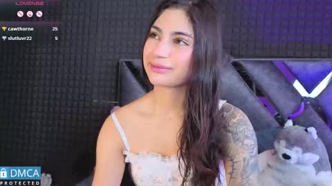 Sol  online show from 11.15.25