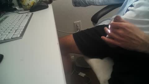 Hungly online show from 12.02.24