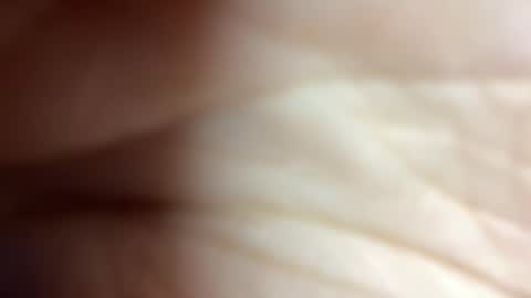 Snapshot of sonibear chatting on 02.14.26 OksiFels online show from 02.14.26