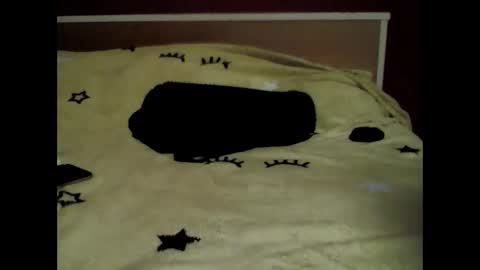 Snapshot of sonya786071 chatting on 03.03.26 sonya online show from 03.03.26