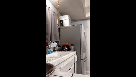 sophia1lux online show from 12.15.25