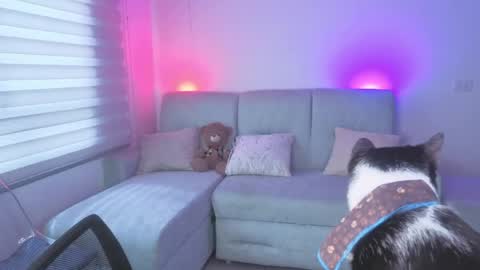 Snapshot of sophie_bbs chatting on 05.25.26 Sophie online show from 05.25.26