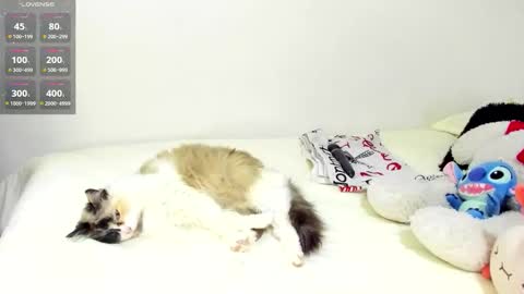 Snapshot of sophiebaker__ chatting on 09.20.25 sophiebaker__ online show from 09.20.25