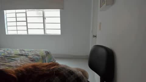 Sophia online show from 02.11.25