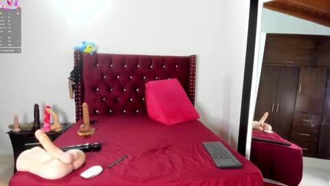     online show from 01.13.26