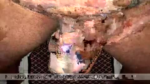 space Dog25 online show from 01.12.26