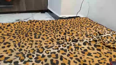 Snapshot of spice_queen chatting on 09.13.25 dela online show from 09.13.25