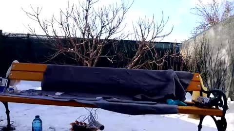 Snapshot of squirt_bunny77 chatting on 02.20.25 My name is Maya Lush is activeThere are legends that in this room all your wishes can come true  Private is Open online show from 02.20.25