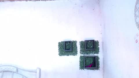 Snapshot of squirt_dirty_anal chatting on 01.25.25 valeria online show from 01.25.25