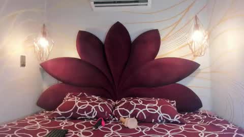 STAAR HOT online show from 02.19.26