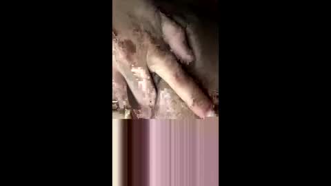 staceyrey online show from 03.15.26