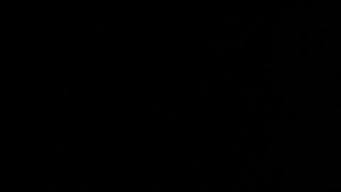 Stacy  online show from 03.27.26