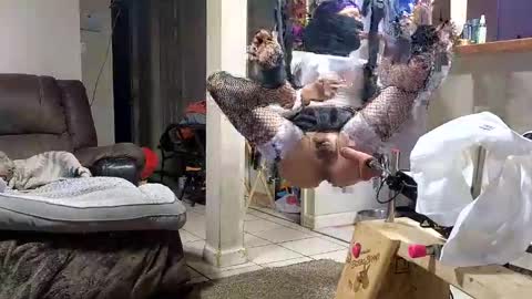 Submissive Slut LOVES adoration online show from 11.12.25