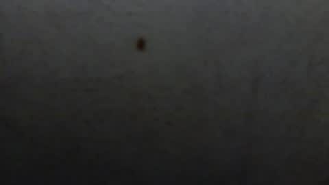 starguy600 online show from 01.11.26