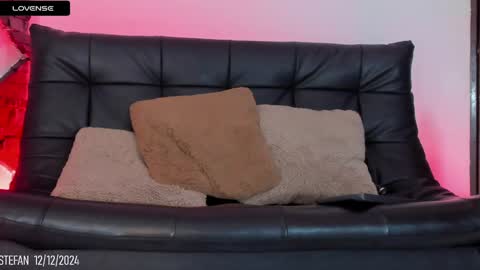 Snapshot of stefan_wonder_ chatting on 12.12.24 Wonder online show from 12.12.24