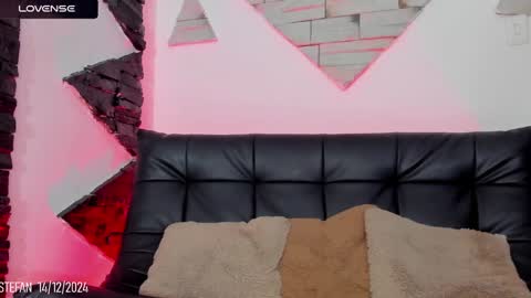 Snapshot of stefan_wonder_ chatting on 12.14.24 Wonder online show from 12.14.24