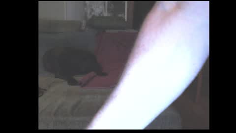 stefangeil123 online show from 03.21.26