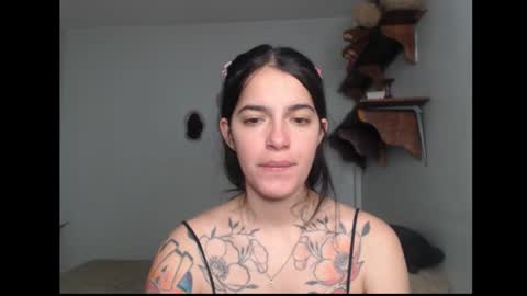 Stella online show from 02.20.26