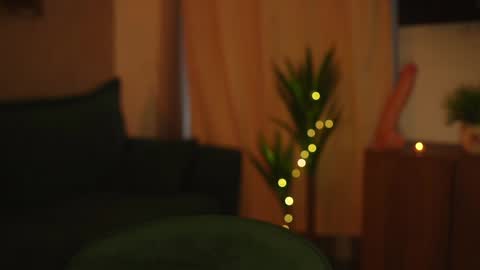 Stella online show from 01.08.25