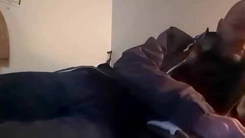 sterng123 online show from 11.12.25