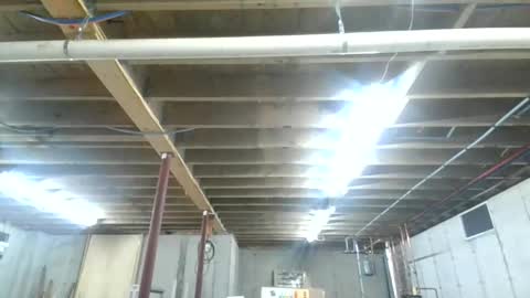 steved6001 online show from 11.26.25