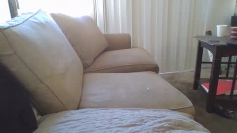 Snapshot of steven903625 chatting on 12.17.24 steven903625 online show from 12.17.24