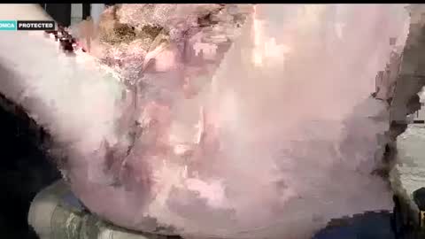 steve online show from 01.15.25